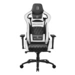 SKILLCHAIRS Throne Series