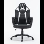 SKILLCHAIRS Fighter (White)