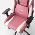 xDrive AKDENİZ Professional Gaming Chair Pink/Black - Confort Ergonomique