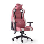 xDrive AKDENİZ Professional Gaming Chair Pink/Black - Confort Ergonomique