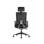 Chaise Ergonomique SKILLCHAIRS Ergo Aria (Black) - Confort et Élégance