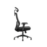 Chaise Ergonomique SKILLCHAIRS Ergo Aria (Black) - Confort et Élégance