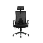 Chaise Ergonomique SKILLCHAIRS Ergo Aria (Black) - Confort et Élégance