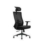 Chaise Ergonomique SKILLCHAIRS Ergo Aria (Black) - Confort et Élégance