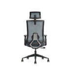 SKILLCHAIRS Ergo Aria (Grey) - Chaise Ergonomique Haut de Gamme