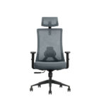 SKILLCHAIRS Ergo Aria (Grey) - Chaise Ergonomique Haut de Gamme