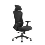 SKILLCHAIRS Ergo Estrella - Chaise Ergonomique Premium