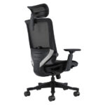 SKILLCHAIRS Ergo Aurora – Chaise Ergonomique Haut de Gamme