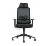 SKILLCHAIRS Ergo Opera - Chaise Ergonomique Design Moderne