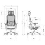 SKILLCHAIRS Ergo Selva - Chaise Ergonomique Haut de Gamme