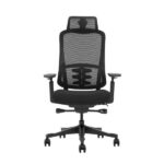 SKILLCHAIRS Ergo Selva - Chaise Ergonomique Haut de Gamme