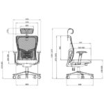 SKILLCHAIRS Ergo Apricity - Chaise Ergonomique Design Haut de Gamme