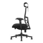 SKILLCHAIRS Ergo Apricity - Chaise Ergonomique Design Haut de Gamme