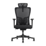 SKILLCHAIRS Ergo Apricity - Chaise Ergonomique Design Haut de Gamme