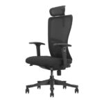 SKILLCHAIRS Ergo Apricity - Chaise Ergonomique Design Haut de Gamme
