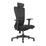SKILLCHAIRS Ergo Apricity - Chaise Ergonomique Design Haut de Gamme