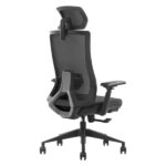 SKILLCHAIRS Ergo Stella - Chaise Ergonomique avec Accoudoirs 3D