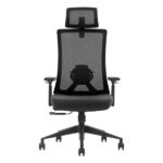 SKILLCHAIRS Ergo Stella - Chaise Ergonomique avec Accoudoirs 3D