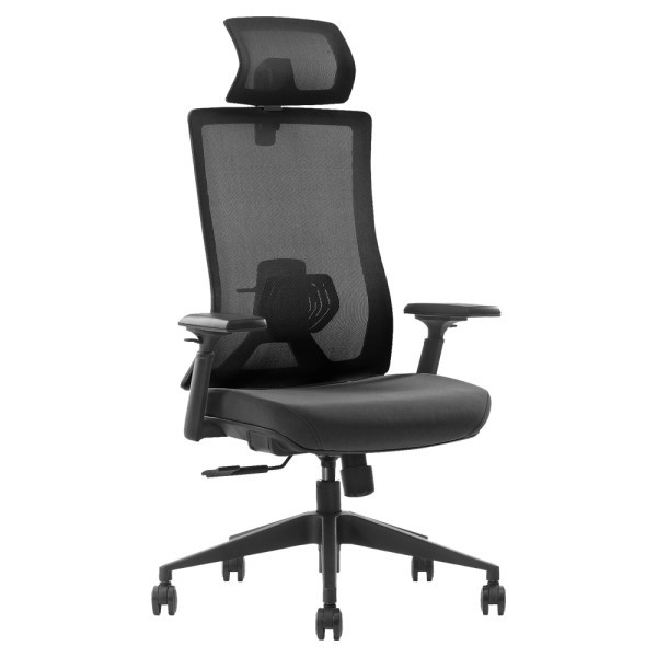 SKILLCHAIRS Ergo Stella - Chaise Ergonomique avec Accoudoirs 3D
