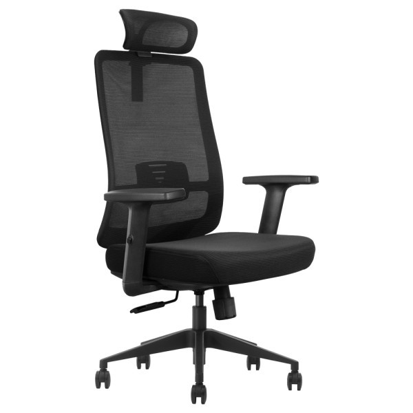 SKILLCHAIRS Ergo Luna - Chaise Ergonomique Design Premium