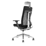 SKILLCHAIRS Ergo Torino – Image 3