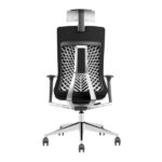 SKILLCHAIRS Ergo Torino – Image 5